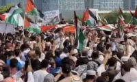 مظاهرات حاشدة في العديد من المدن العربية والإسلامية والغربية في ظل الحرب على غزة